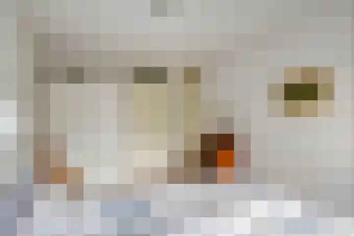 van Pallandtdreef 16 Culemborg thumbnail 15