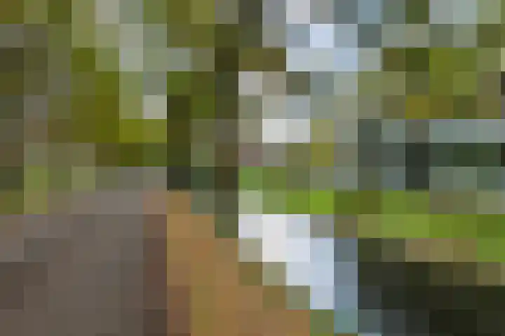 van Pallandtdreef 16 Culemborg thumbnail 27
