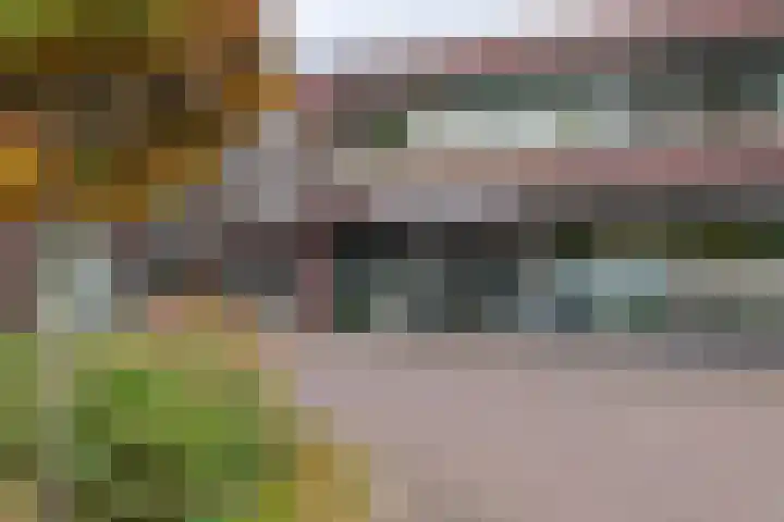 van Pallandtdreef 16 Culemborg thumbnail 28