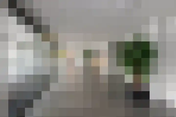 van Pallandtdreef 16 Culemborg thumbnail 29