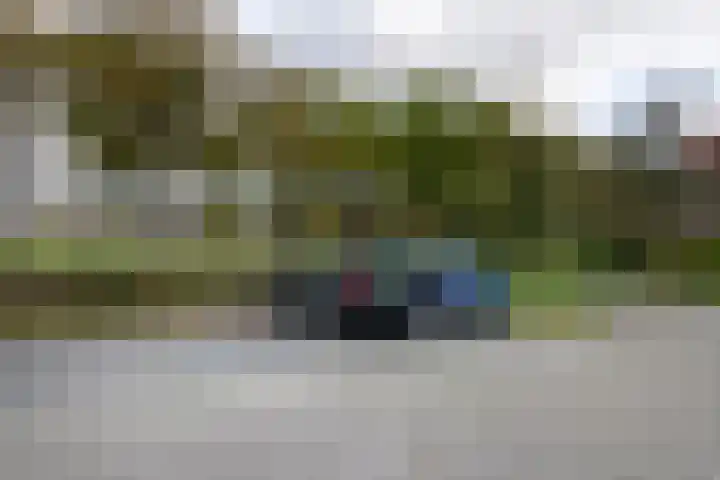 van Pallandtdreef 16 Culemborg thumbnail 31