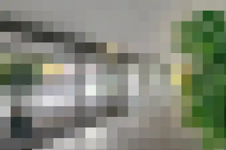 van Pallandtdreef 16 Culemborg thumbnail 5