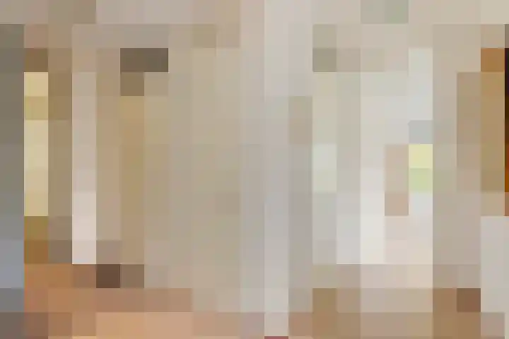 van Pallandtdreef 16 Culemborg thumbnail 8