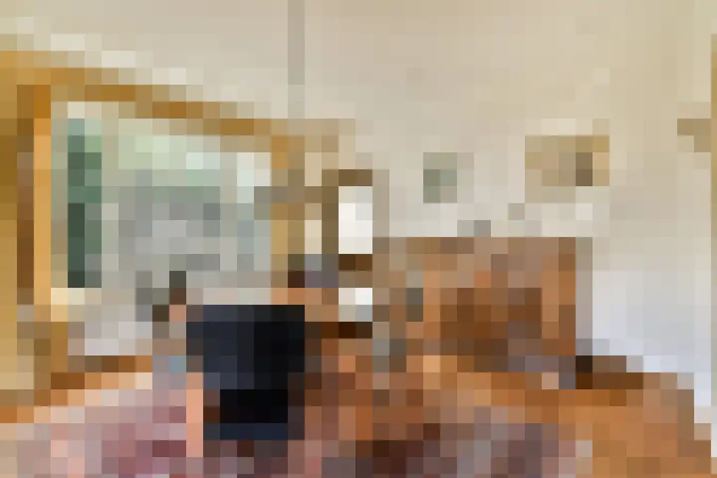 van Pallandtlaan 13 Sassenheim thumbnail 12