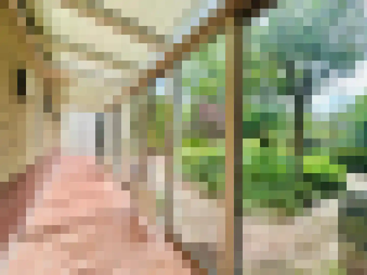van Pallandtlaan 13 Sassenheim thumbnail 15
