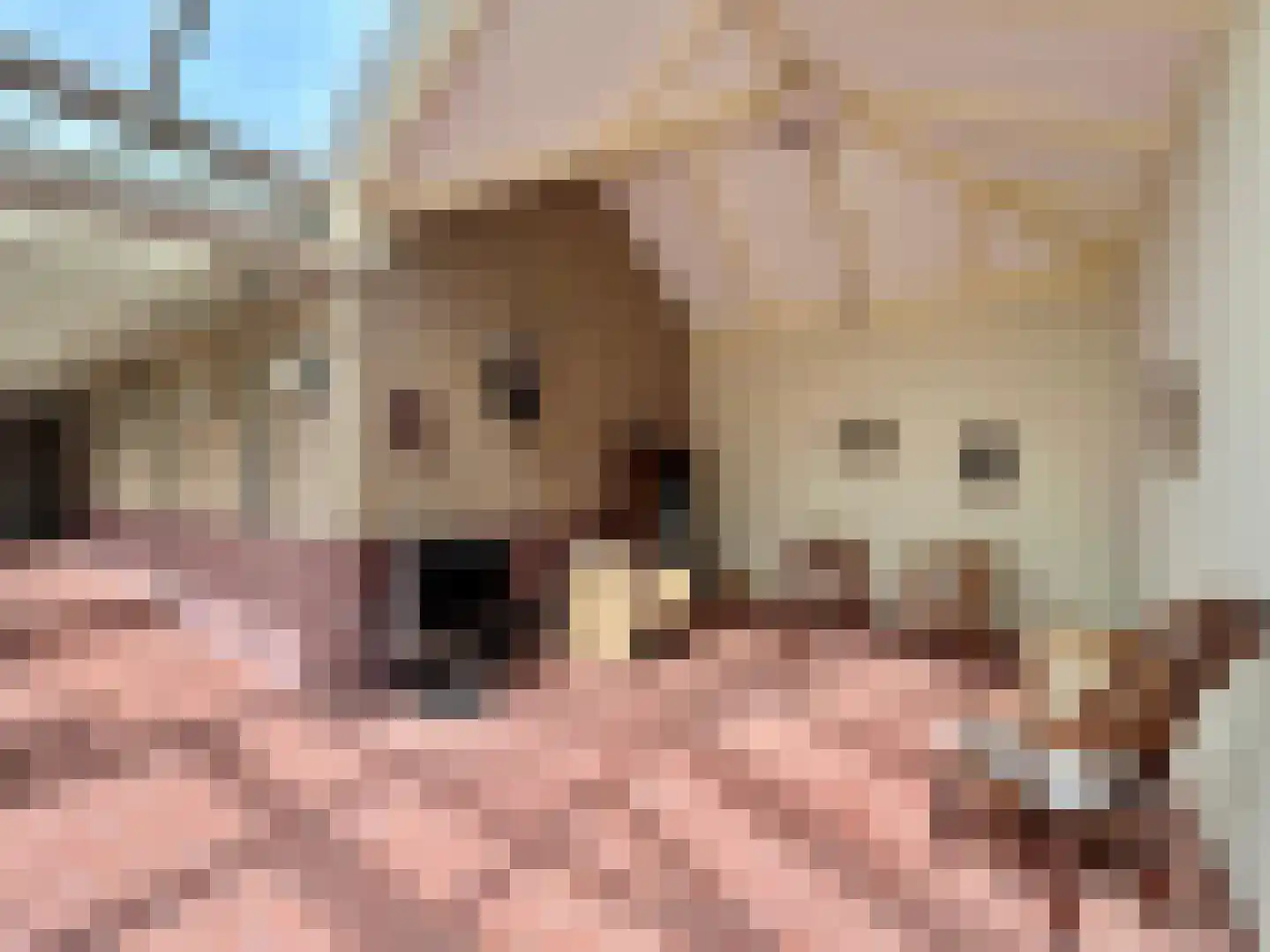 van Pallandtlaan 13 Sassenheim thumbnail 16