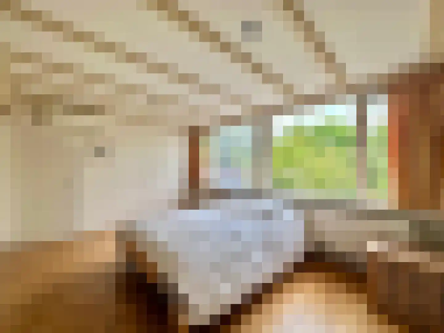 van Pallandtlaan 13 Sassenheim thumbnail 18