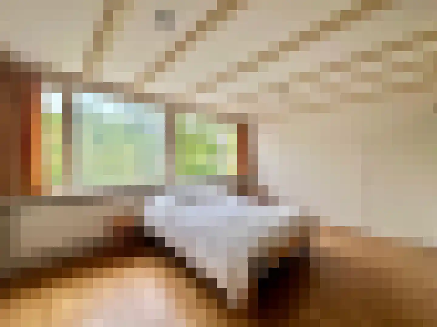 van Pallandtlaan 13 Sassenheim thumbnail 19