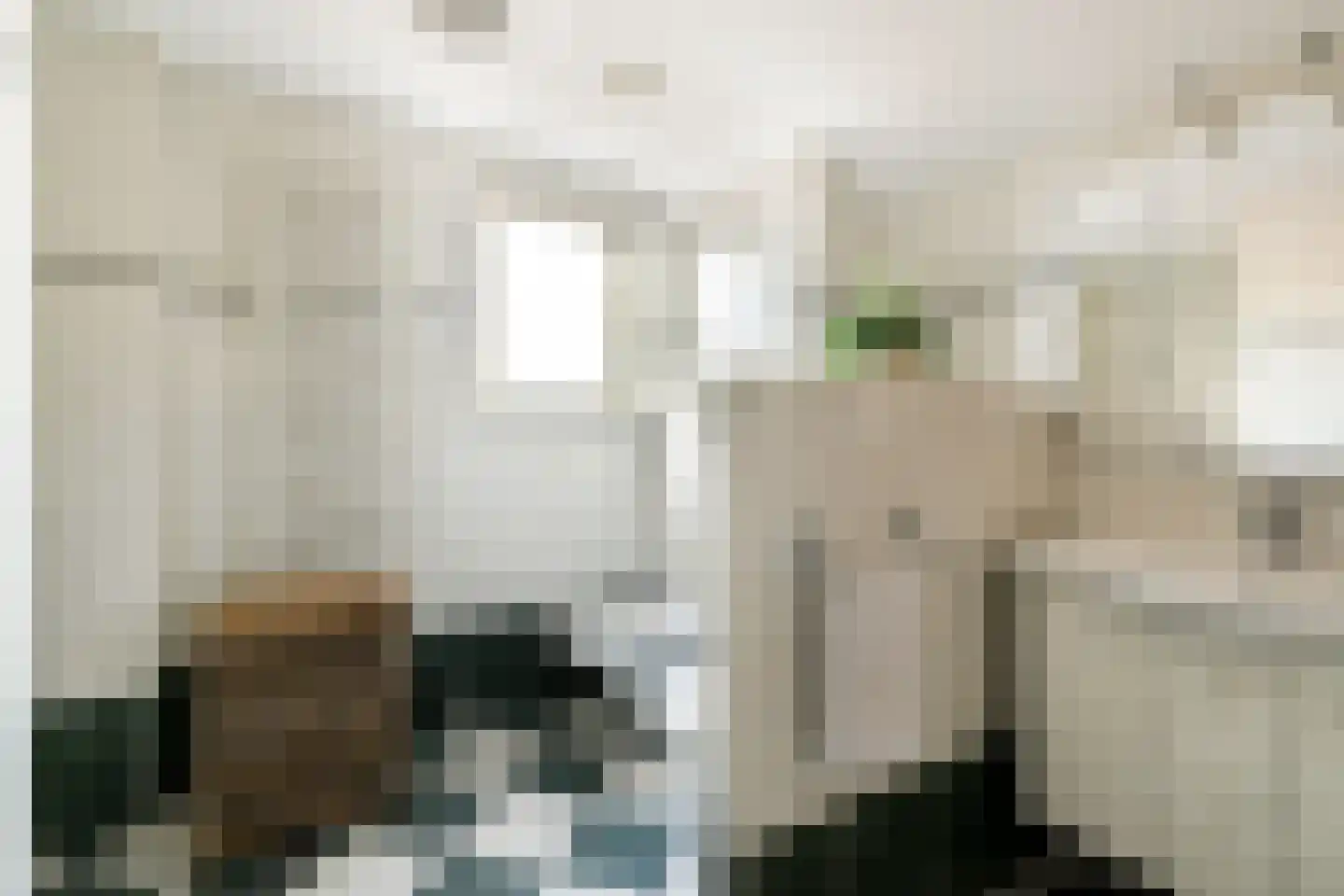 van Pallandtlaan 13 Sassenheim thumbnail 20