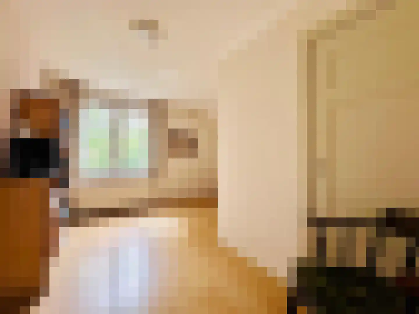 van Pallandtlaan 13 Sassenheim thumbnail 24