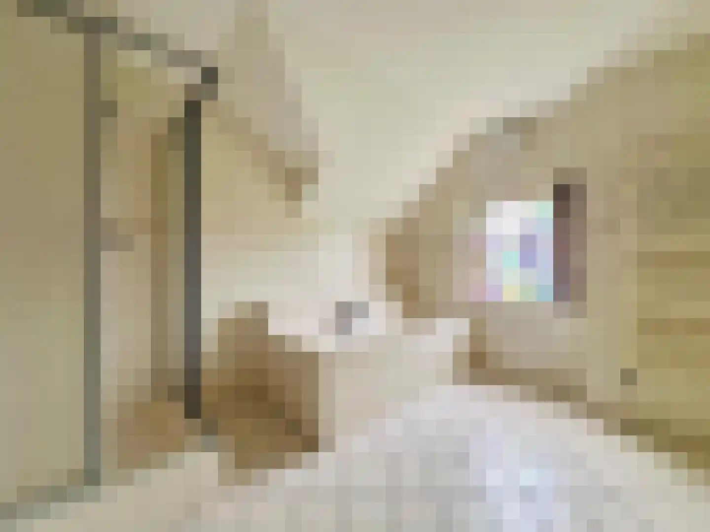 van Pallandtlaan 13 Sassenheim thumbnail 27