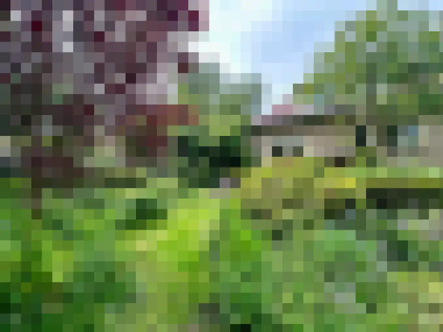 van Pallandtlaan 13 Sassenheim thumbnail 28