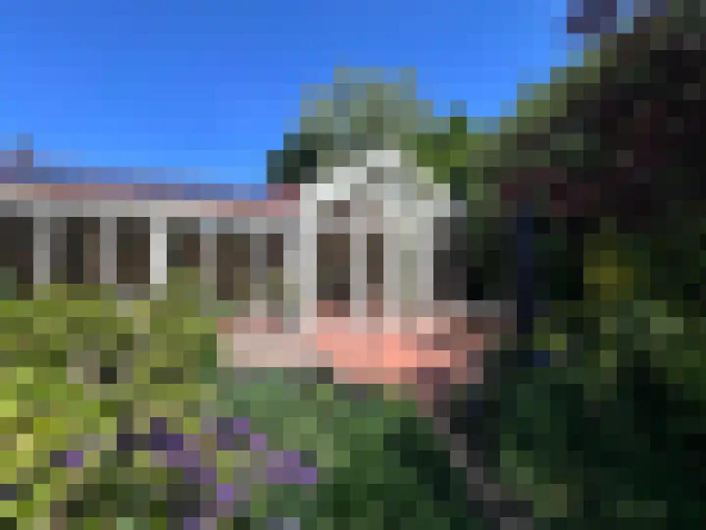van Pallandtlaan 13 Sassenheim thumbnail 29