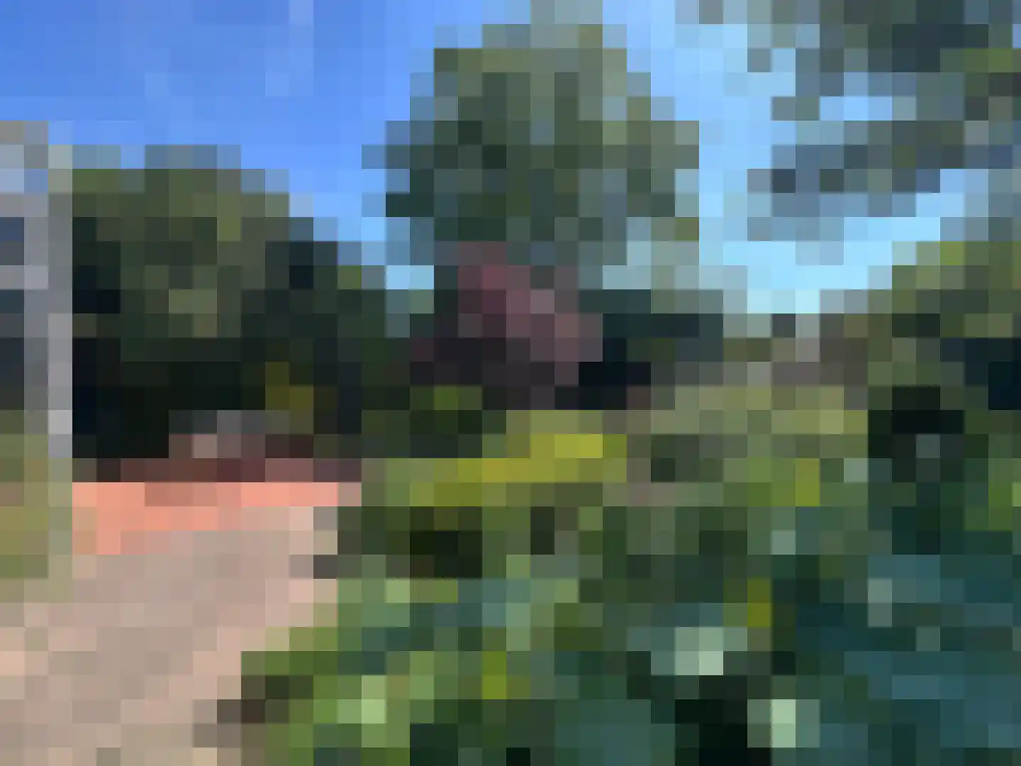 van Pallandtlaan 13 Sassenheim thumbnail 30