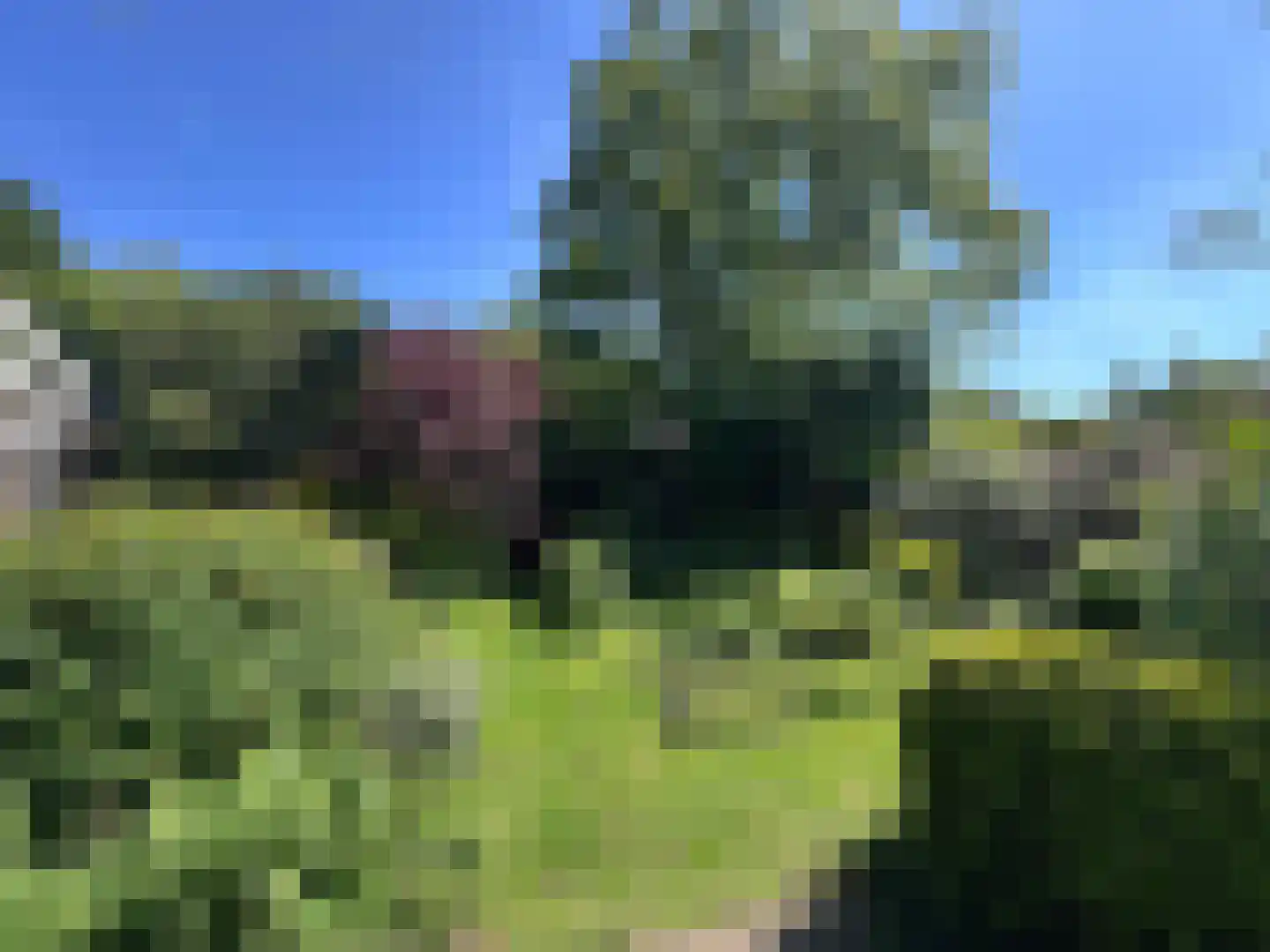 van Pallandtlaan 13 Sassenheim thumbnail 31