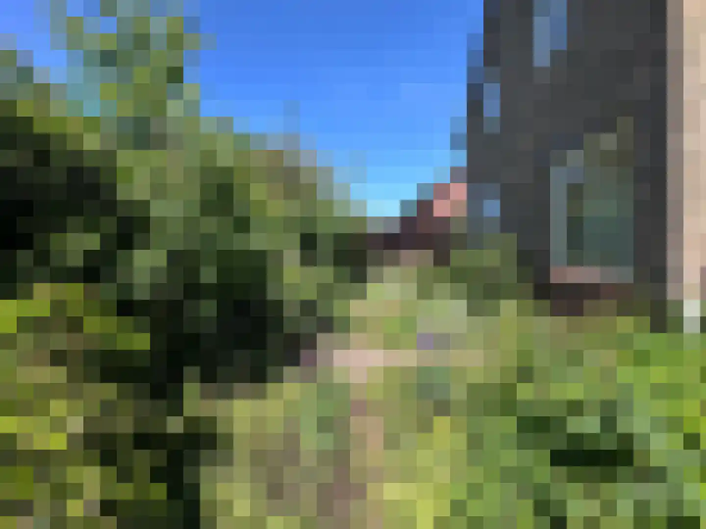 van Pallandtlaan 13 Sassenheim thumbnail 34