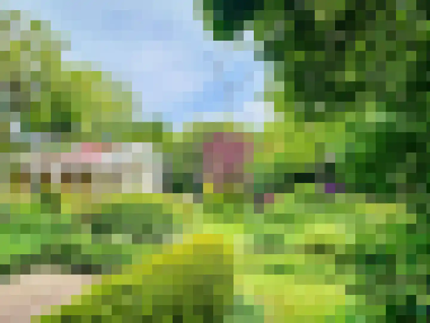 van Pallandtlaan 13 Sassenheim thumbnail 4