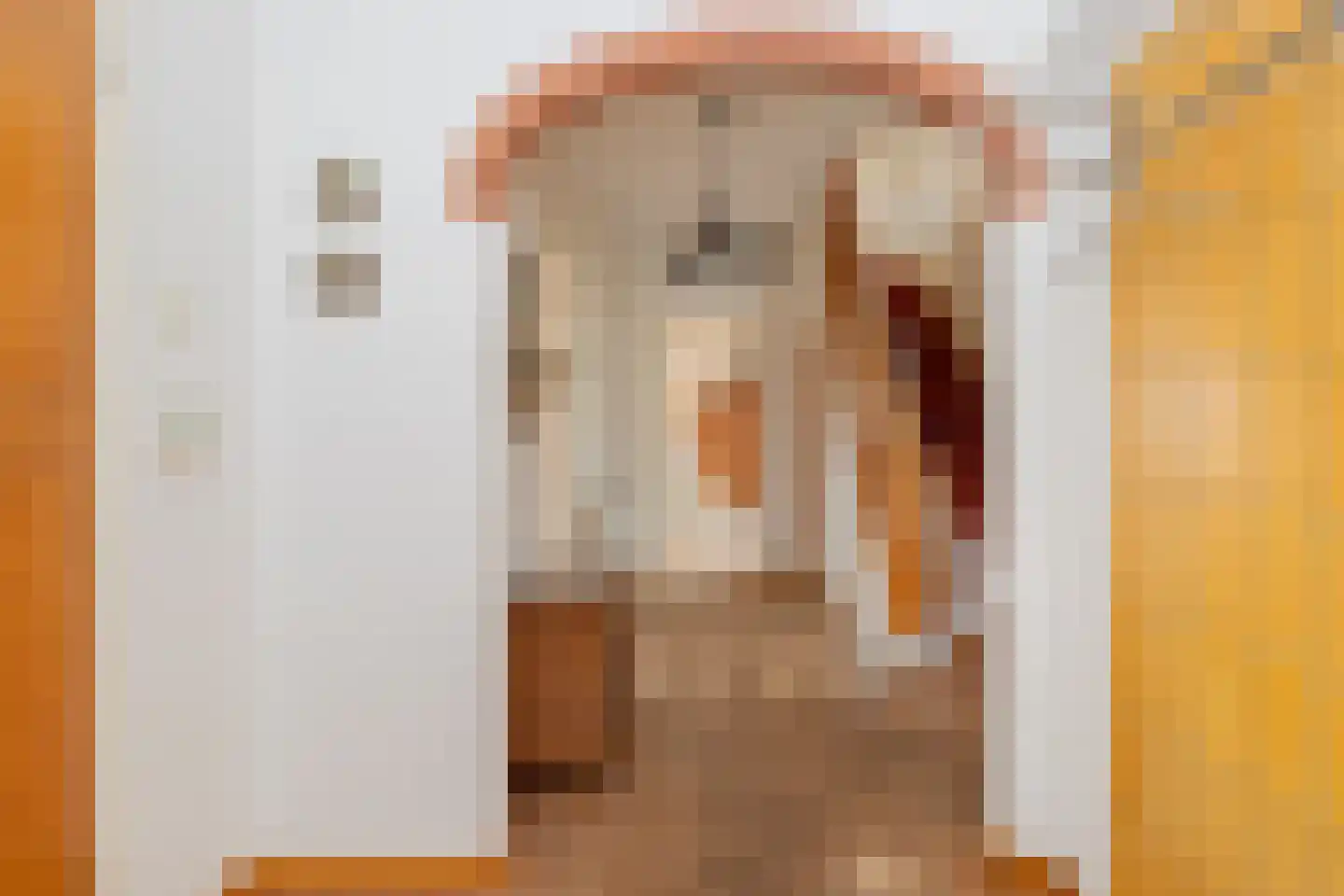 van Pallandtlaan 15 Sassenheim thumbnail 10