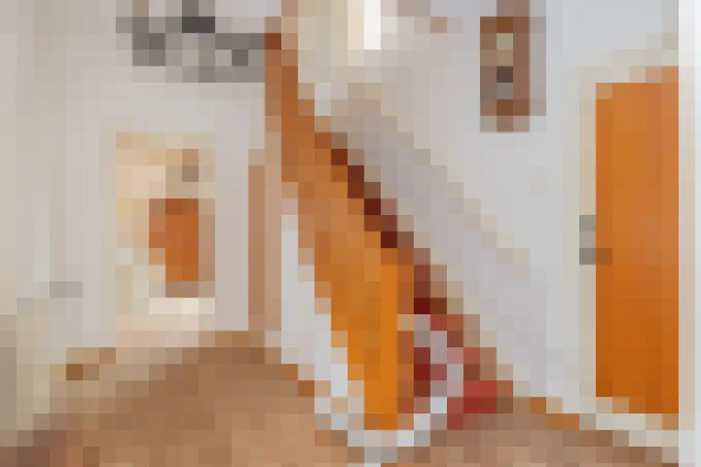 van Pallandtlaan 15 Sassenheim thumbnail 11