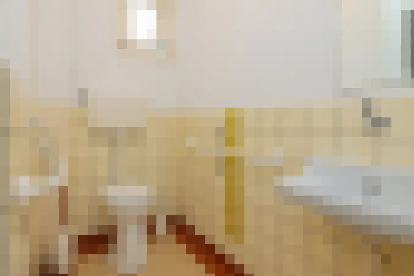 van Pallandtlaan 15 Sassenheim thumbnail 20