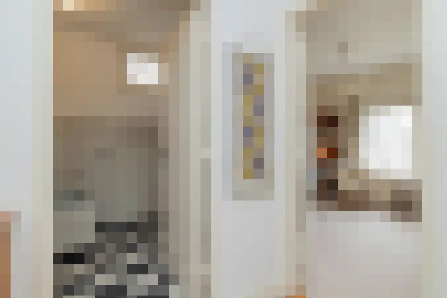van Pallandtlaan 15 Sassenheim thumbnail 36