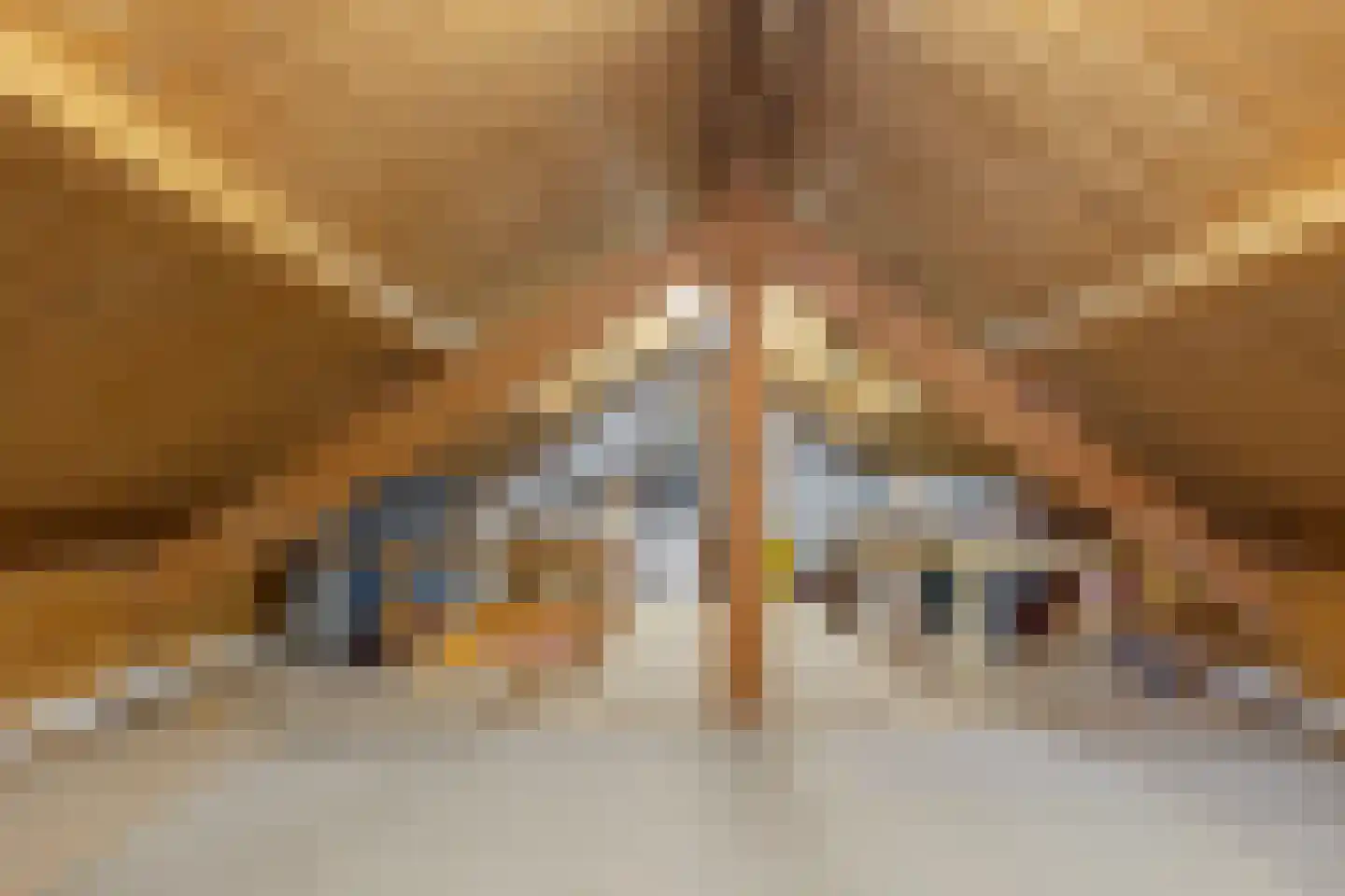 van Pallandtlaan 15 Sassenheim thumbnail 43