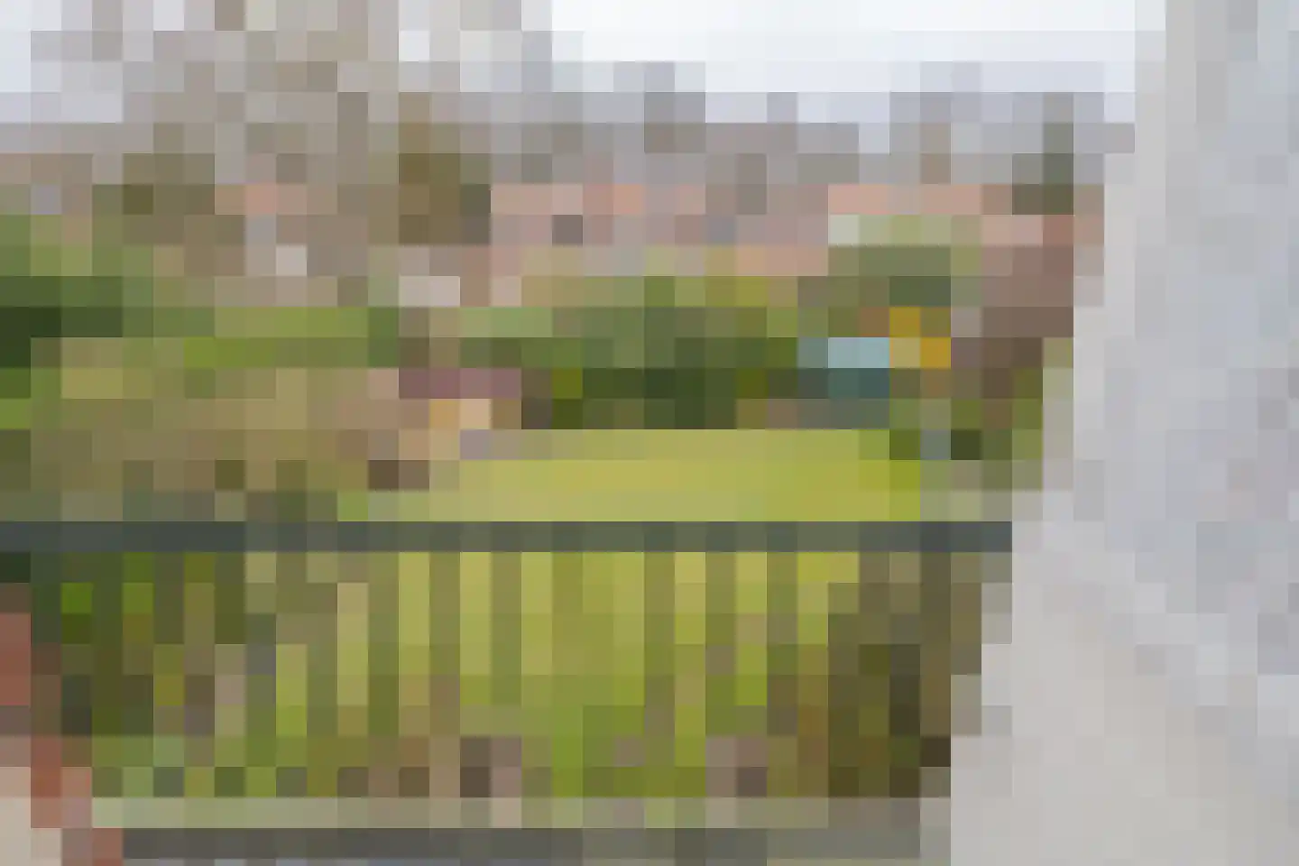 van Pallandtlaan 15 Sassenheim thumbnail 48