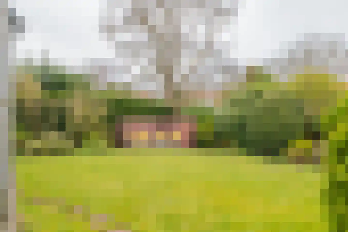 van Pallandtlaan 15 Sassenheim thumbnail 49