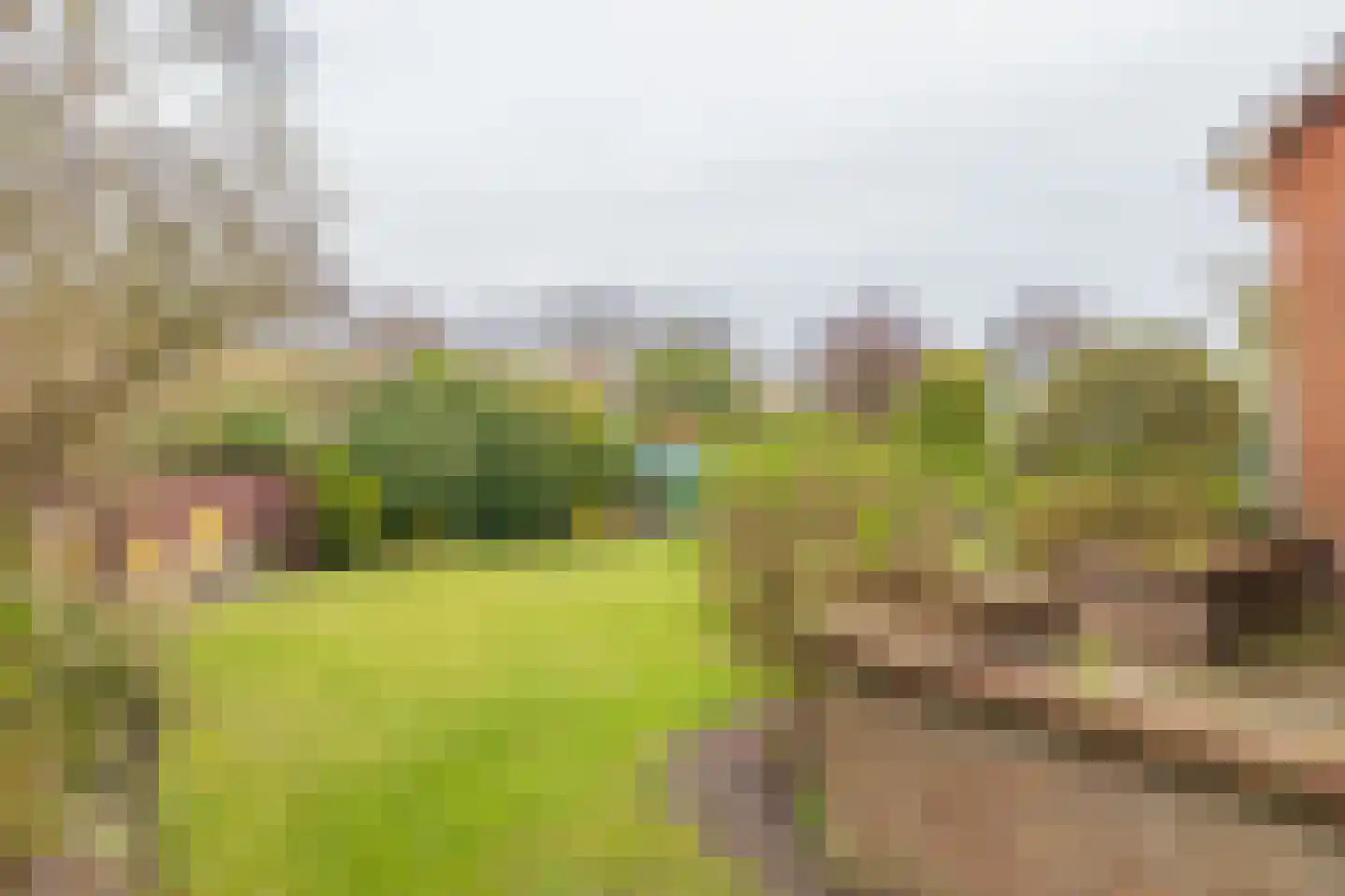 van Pallandtlaan 15 Sassenheim thumbnail 51
