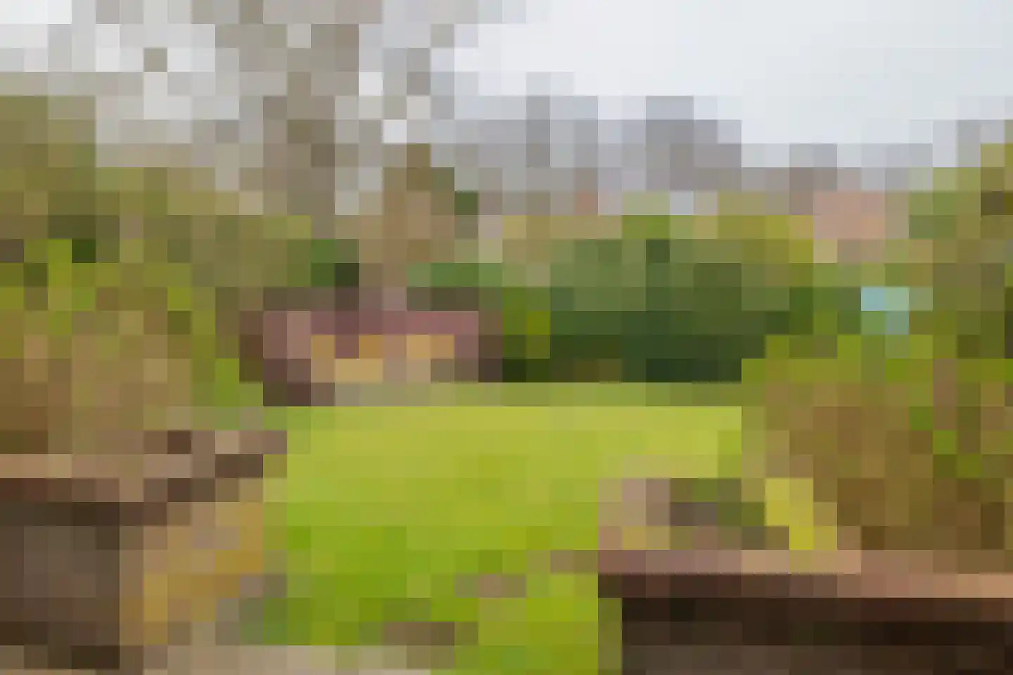 van Pallandtlaan 15 Sassenheim thumbnail 52