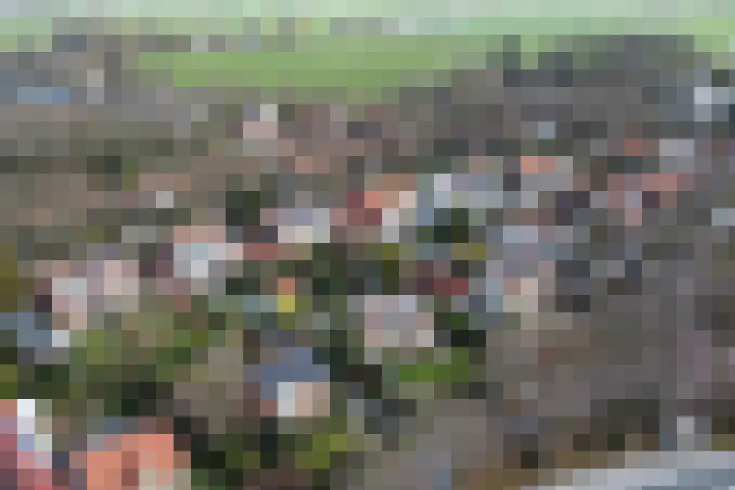 van Pallandtlaan 15 Sassenheim thumbnail 57