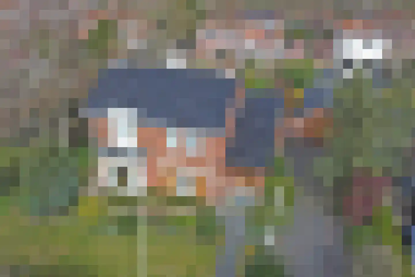 van Pallandtlaan 15 Sassenheim thumbnail 59