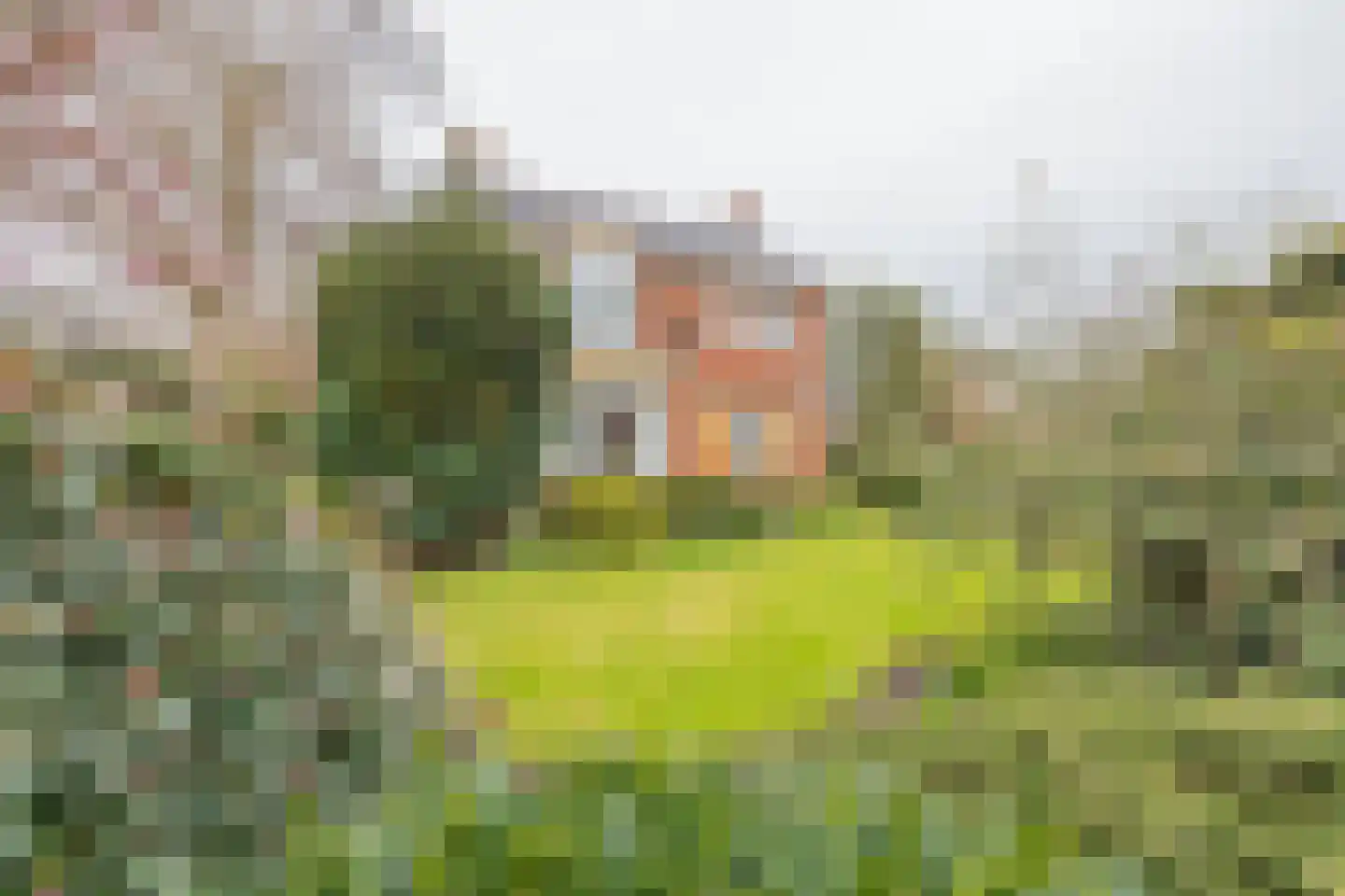 van Pallandtlaan 15 Sassenheim thumbnail 7