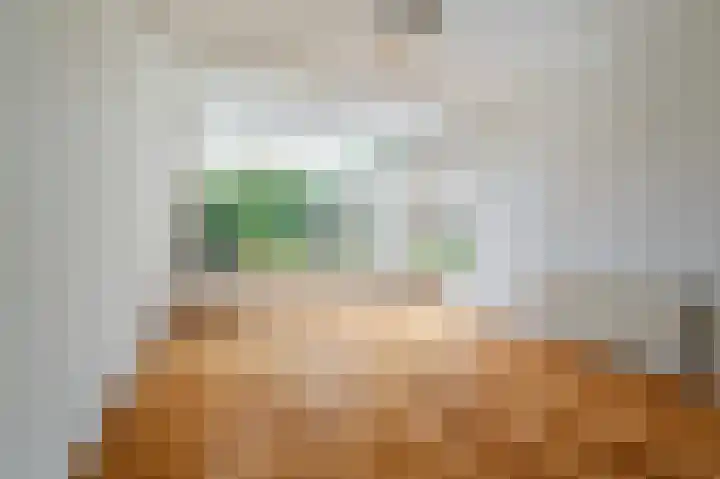 van Pallandtlaan 16 Sassenheim thumbnail 12