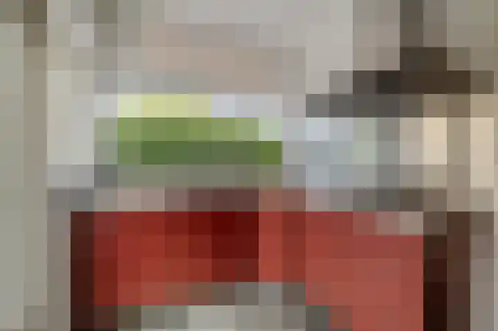 van Pallandtlaan 16 Sassenheim thumbnail 15