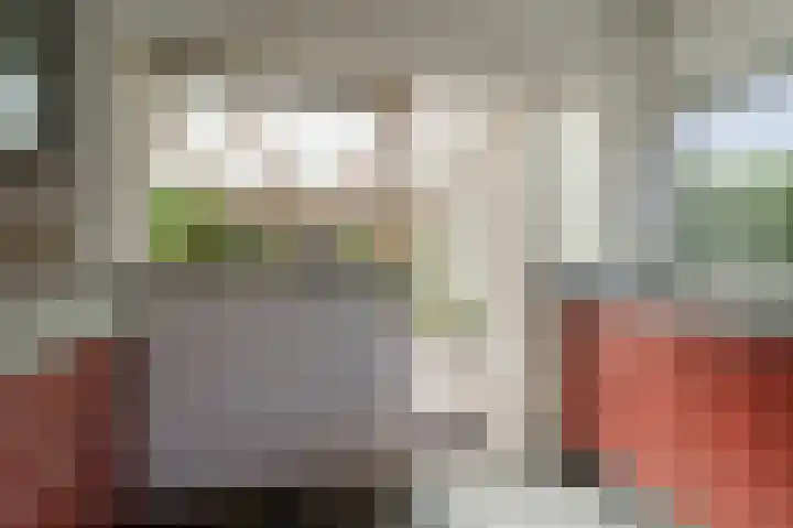 van Pallandtlaan 16 Sassenheim thumbnail 18