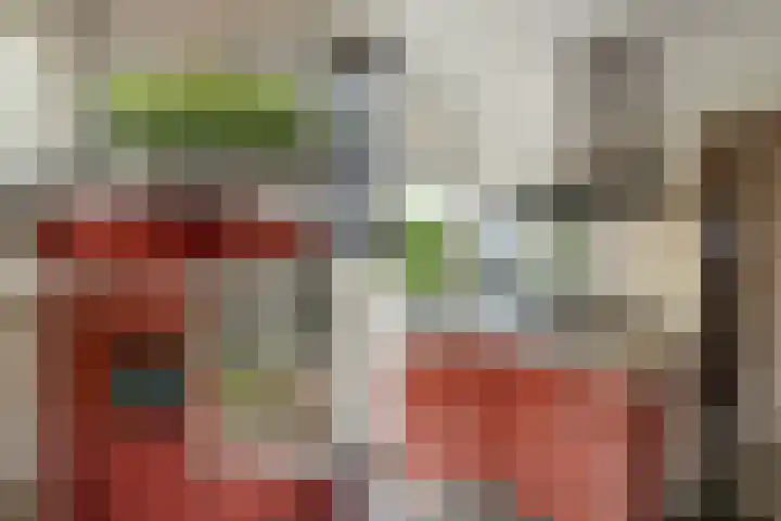 van Pallandtlaan 16 Sassenheim thumbnail 20