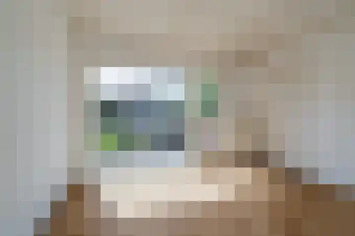 van Pallandtlaan 16 Sassenheim thumbnail 22