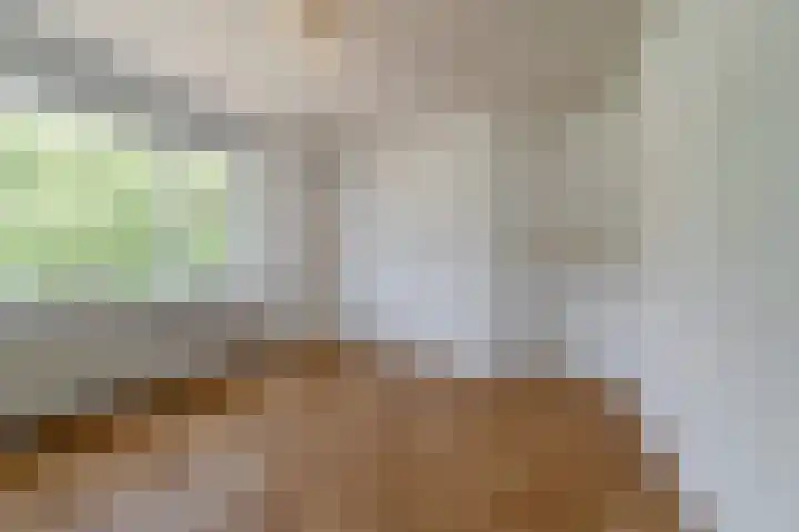 van Pallandtlaan 16 Sassenheim thumbnail 26