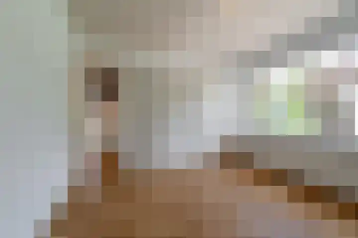 van Pallandtlaan 16 Sassenheim thumbnail 27