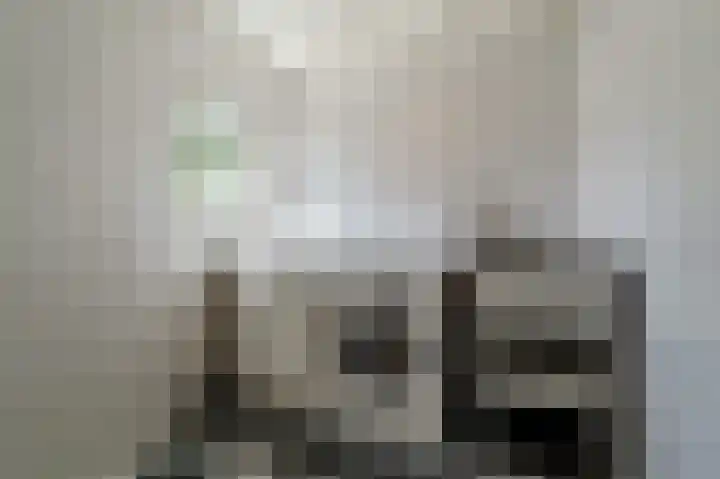 van Pallandtlaan 16 Sassenheim thumbnail 31