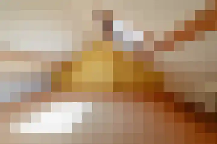 van Pallandtlaan 16 Sassenheim thumbnail 34