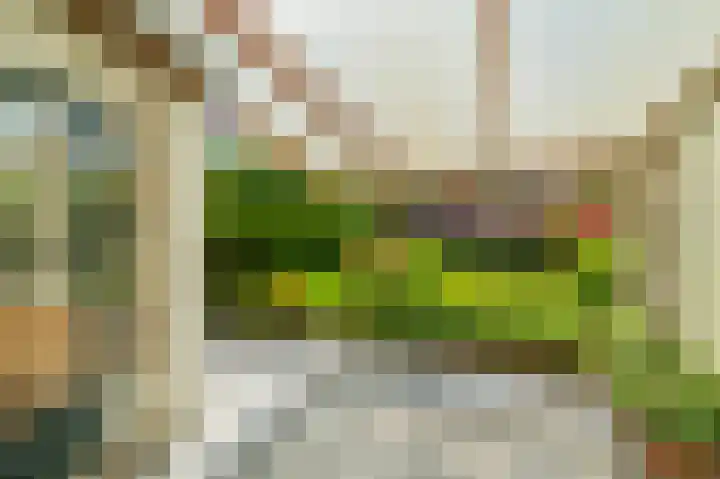 van Pallandtlaan 16 Sassenheim thumbnail 35