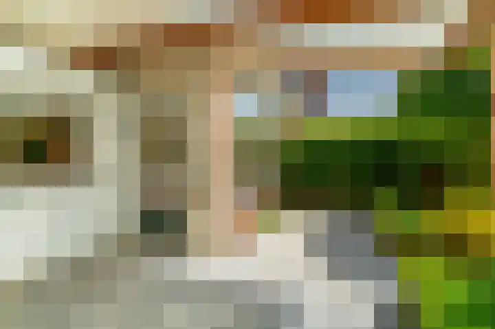 van Pallandtlaan 16 Sassenheim thumbnail 36