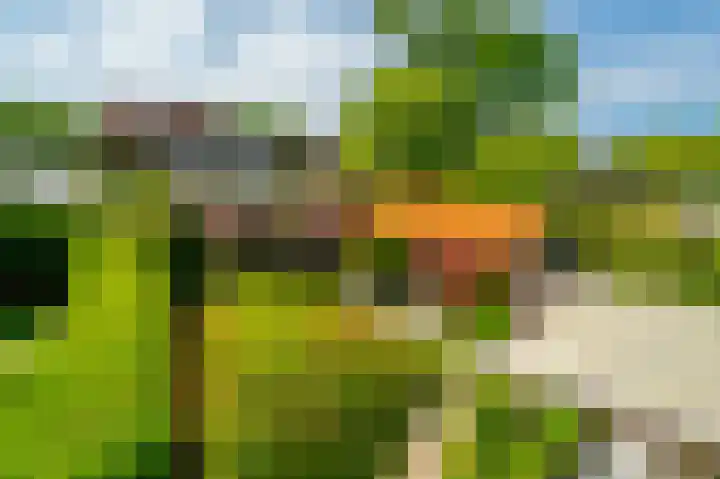 van Pallandtlaan 16 Sassenheim thumbnail 47