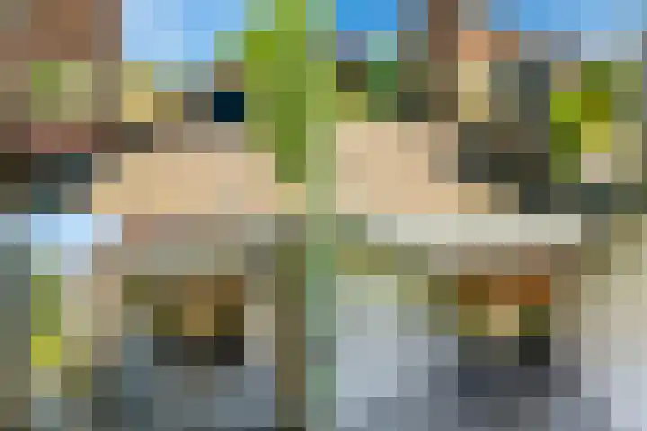 van Pallandtlaan 16 Sassenheim thumbnail 49