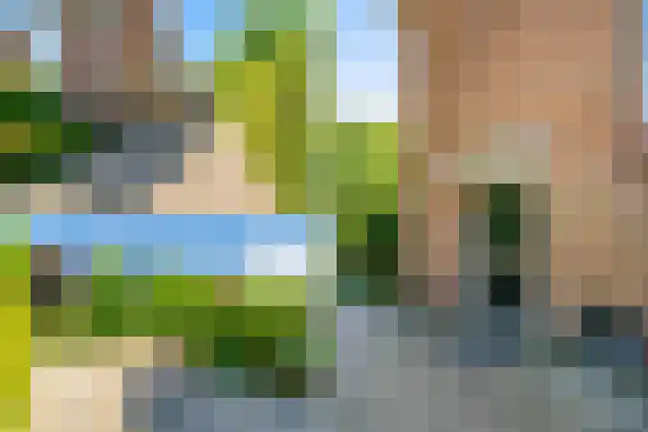 van Pallandtlaan 16 Sassenheim thumbnail 5