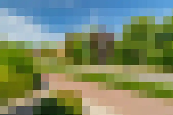 van Pallandtlaan 16 Sassenheim thumbnail 53