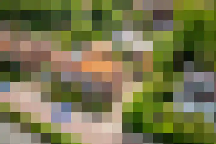 van Pallandtlaan 16 Sassenheim thumbnail 55