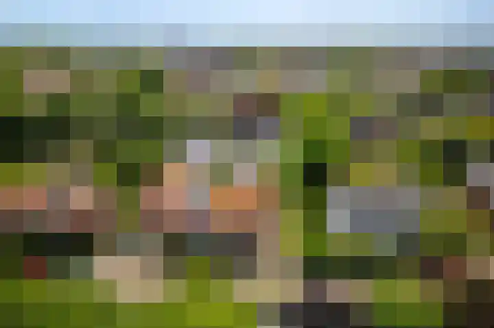 van Pallandtlaan 16 Sassenheim thumbnail 56